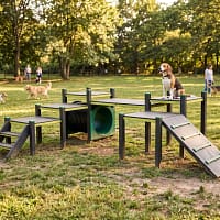 Parcours agility L freetness agility_9 beagle sur grand parcours d'agility dans un parc arboré