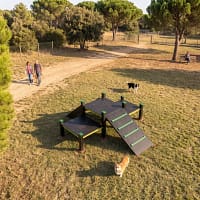 Parcours agility M freetness agility 3_11 Parcours agility M freetness agility vue de haut dans un parc arboré