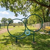cerceau double freetness agility_4 cerceau double freetness agility dans un espace canin avec un banc
