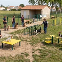 freetness agility club_11 club canin avec agrès d'agility Freetness en extérieur