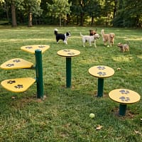 plots d equilibre_2 plots d'équilibres Freetness dans une zone d'herbe d'un parc canin
