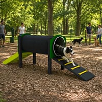 tunnel freetness agility_10 border collie traversant un tunnel d'agility dans un parc arboré