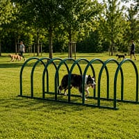 tunnel ouvert freetness agility_12 border collie dans tunnel semi-ouvert de dressage au coeur d'un espace vert