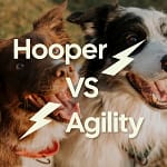 hooper vs agility quelles différences