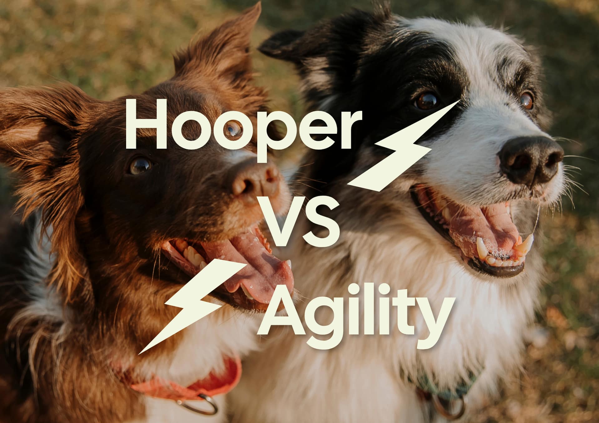 hooper vs agility quelles différences