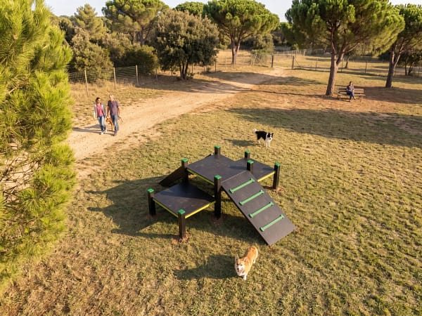 Parcours agility M freetness agility 3_11 Parcours agility M freetness agility vue de haut dans un parc arboré