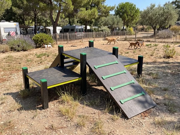 Parcours agility M freetness agility_12 parcours agility dans un parc canin d'un camping pet friendly
